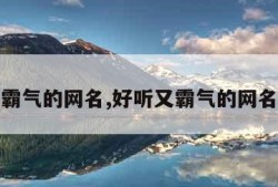 好听又霸气的网名,好听又霸气的网名带墨字