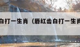 唇红齿白打一生肖（唇红齿白打一生肖是什么）