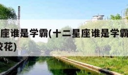 十二星座谁是学霸(十二星座谁是学霸女神加才女,校花)