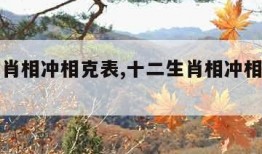 十二生肖相冲相克表,十二生肖相冲相克表图片