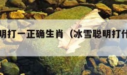 冰雪聪明打一正确生肖（冰雪聪明打什么生肖）