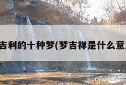 最吉利的十种梦(梦吉祥是什么意思)