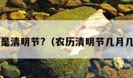 几号是清明节?（农历清明节几月几日?）