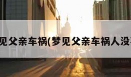 梦见父亲车祸(梦见父亲车祸人没事)