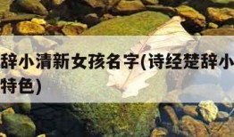 诗经楚辞小清新女孩名字(诗经楚辞小清新女孩名字特色)