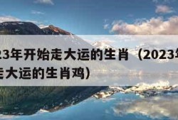 2023年开始走大运的生肖（2023年开始走大运的生肖鸡）