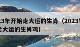 2023年开始走大运的生肖（2023年开始走大运的生肖鸡）