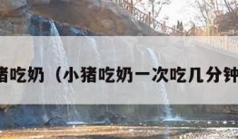 小猪吃奶（小猪吃奶一次吃几分钟饱）