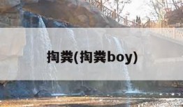 掏粪(掏粪boy)