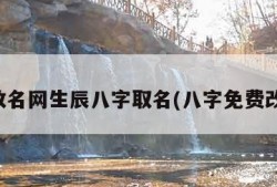免费改名网生辰八字取名(八字免费改名字)