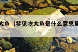 梦见吃大鱼（梦见吃大鱼是什么意思周公解梦）