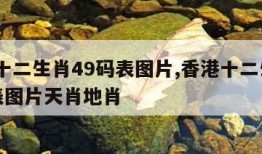 香港十二生肖49码表图片,香港十二生肖49码表图片天肖地肖