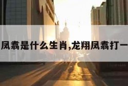 龙翔凤翥是什么生肖,龙翔凤翥打一数字
