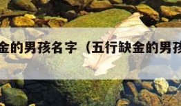 五行缺金的男孩名字（五行缺金的男孩名字免费）