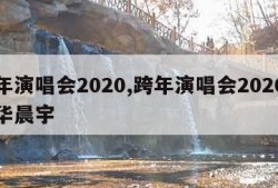 跨年演唱会2020,跨年演唱会2020回放华晨宇
