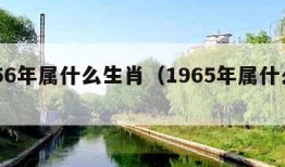 1956年属什么生肖（1965年属什么生肖）