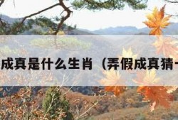 弄假成真是什么生肖（弄假成真猜一肖）