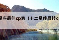 十二星座最佳cp表（十二星座最佳cp表分数）
