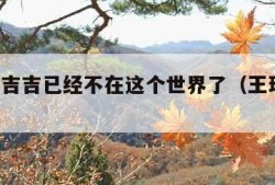 王珞丹吉吉已经不在这个世界了（王珞丹 吉他）