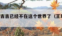 王珞丹吉吉已经不在这个世界了（王珞丹 吉他）