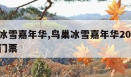 鸟巢冰雪嘉年华,鸟巢冰雪嘉年华2024年预约门票