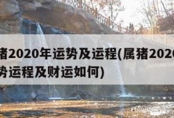 属猪2020年运势及运程(属猪2020年运势运程及财运如何)