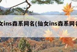 仙女ins森系网名(仙女ins森系网名日文)