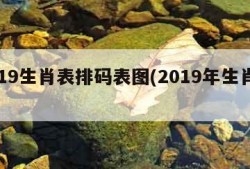 2019生肖表排码表图(2019年生肖码表)