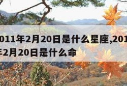 2011年2月20日是什么星座,2011年2月20日是什么命