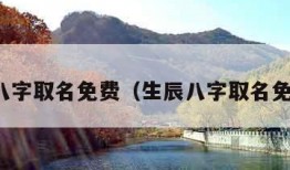 生辰八字取名免费（生辰八字取名免费测）