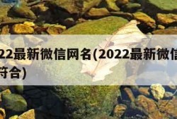 2022最新微信网名(2022最新微信网名符合)