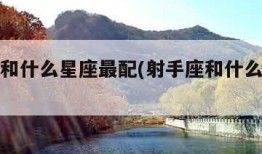 白羊座和什么星座最配(射手座和什么星座最配)