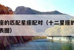 十二星座的匹配星座配对（十二星座的匹配星座配对表图）
