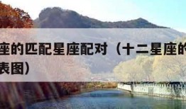 十二星座的匹配星座配对（十二星座的匹配星座配对表图）