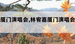 林宥嘉厦门演唱会,林宥嘉厦门演唱会几点开始