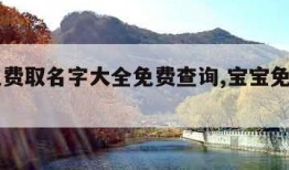 宝宝免费取名字大全免费查询,宝宝免费起名大全!