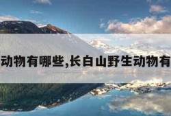野生动物有哪些,长白山野生动物有哪些