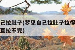 梦见自己拉肚子(梦见自己拉肚子拉得到处都是还一直拉不完)