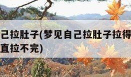 梦见自己拉肚子(梦见自己拉肚子拉得到处都是还一直拉不完)