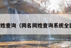 同名同姓查询（同名同姓查询系统全国官网）