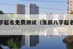 生辰八字起名免费测试（生辰八字起名免费取名）