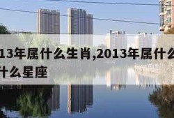 2013年属什么生肖,2013年属什么生肖什么星座