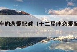 十二星座的恋爱配对（十二星座恋爱配对公式）