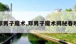 邓男子魔术,邓男子魔术揭秘春晚