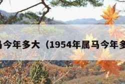 属马今年多大（1954年属马今年多大）