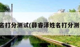 姓名打分测试(薛睿泽姓名打分测试)