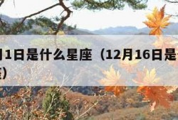 12月1日是什么星座（12月16日是什么星座）