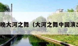 春晚大河之舞（大河之舞中国演出）