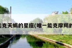 唯一能克天蝎的星座(唯一能克摩羯的星座)