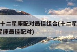 最全的十二星座配对最佳组合(十二星座配对表 12星座最佳配对)